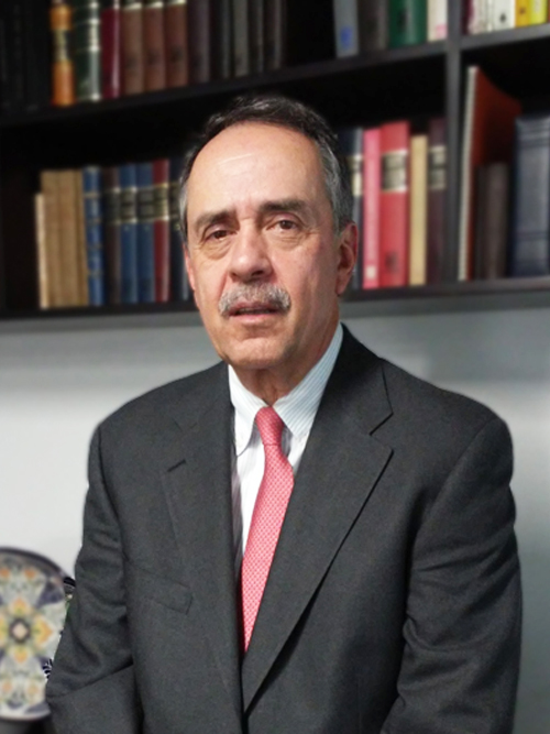 Juan Martínez del Campo